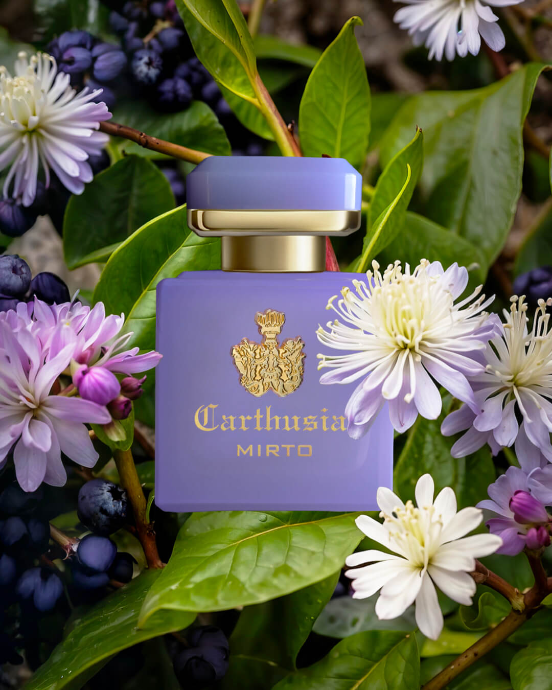 Carthusia - Profumi di Capri - Intenso di Mirto 50ml spr - immagine 3